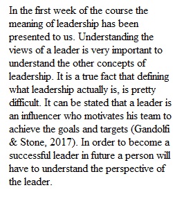 W8DQ_organizational leadership